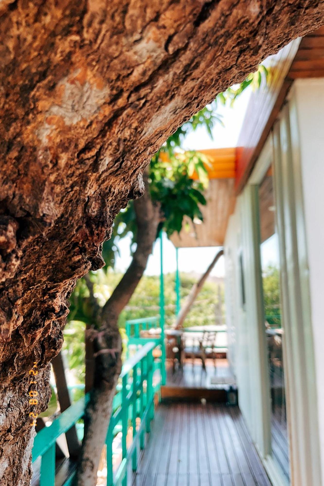Little Ryukyu Hermit Crab Homestay 샤오리우치우 외부 사진
